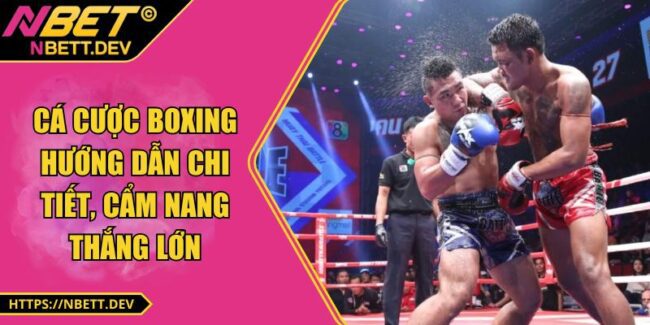 Cá Cược Boxing - Hướng Dẫn Chi Tiết, Cẩm Nang Thắng Lớn 