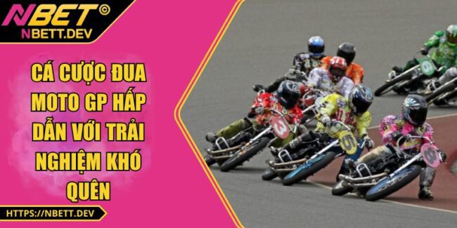 Cá Cược Đua Moto GP Hấp Dẫn Với Trải Nghiệm Khó Quên